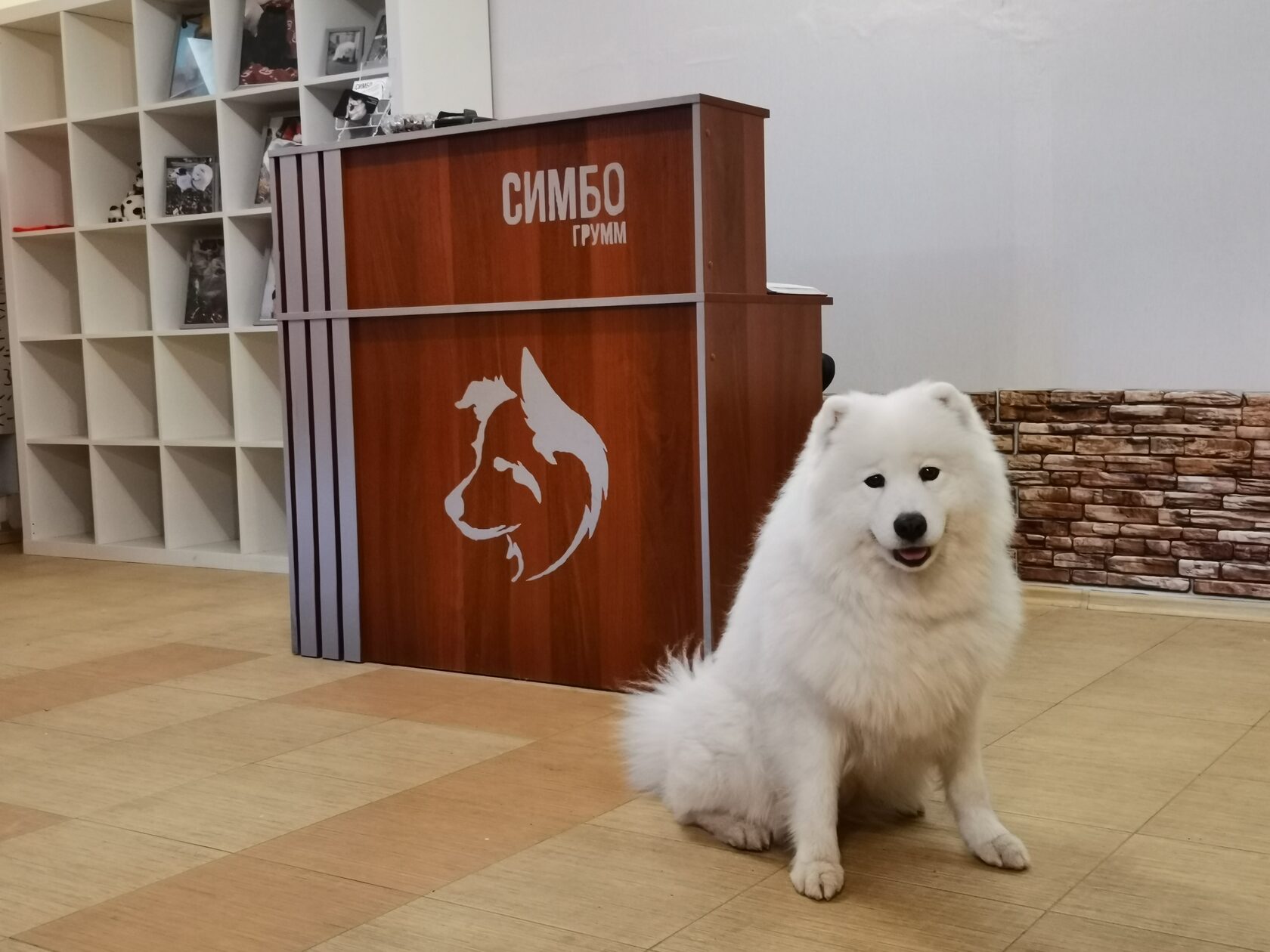 Команда Simbo Groom